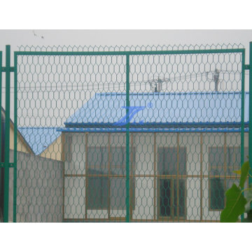 Good Quality Hexagonal Courtyard Wire Mesh Fences (TS-L28)